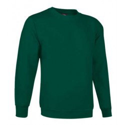 Sudadera Basica cuello caja