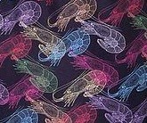 GAMBAS 1 