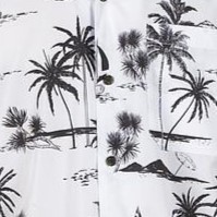 COCONUT GARYS