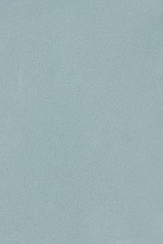 VERDE LIQUEN